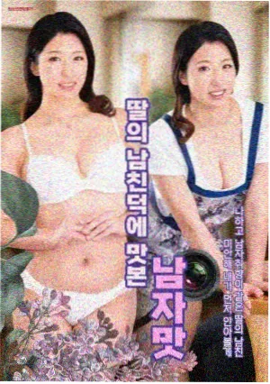 候鸟观测站 编辑严选漫画封面